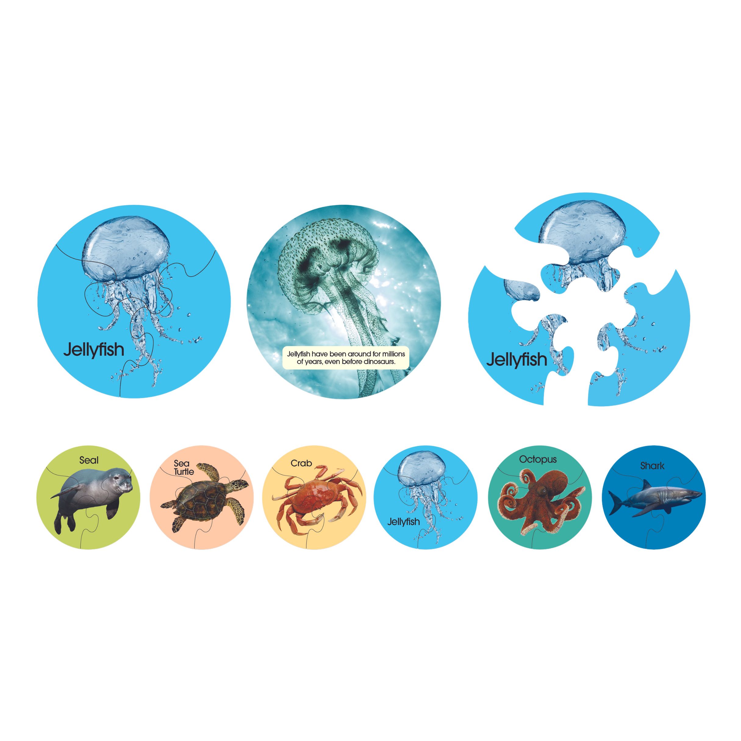 Sealife Animal Puzzles (6 pack)