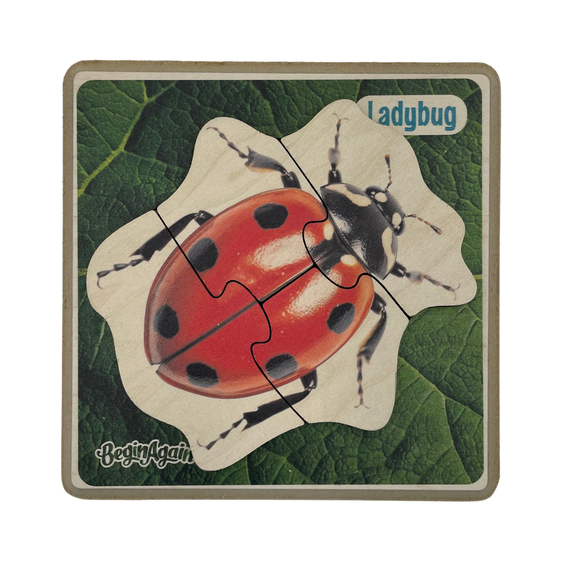 Garden Pals Puzzle - Ladybug